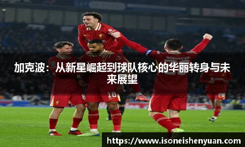 星空综合(中国)官方网站