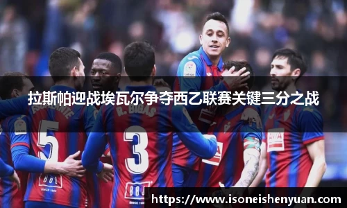 星空.综合体育官网