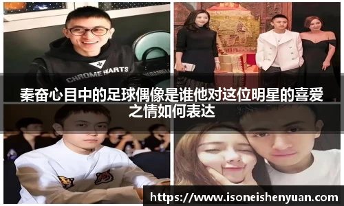 星空.综合体育官网