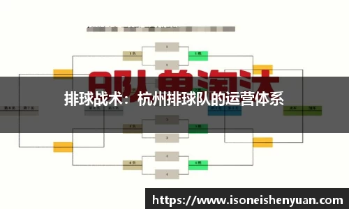 星空.综合体育官网